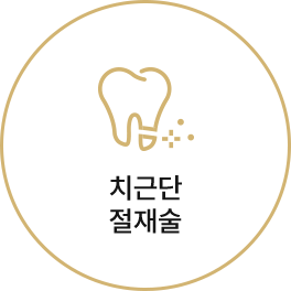 치근단 절제술